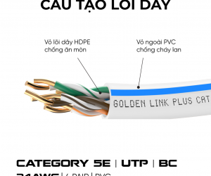 Cable LAN GOLDEN TAIWAN PLUS UTP CAT5E 305m Trắng sọc xanh (Đồng nguyên chất)